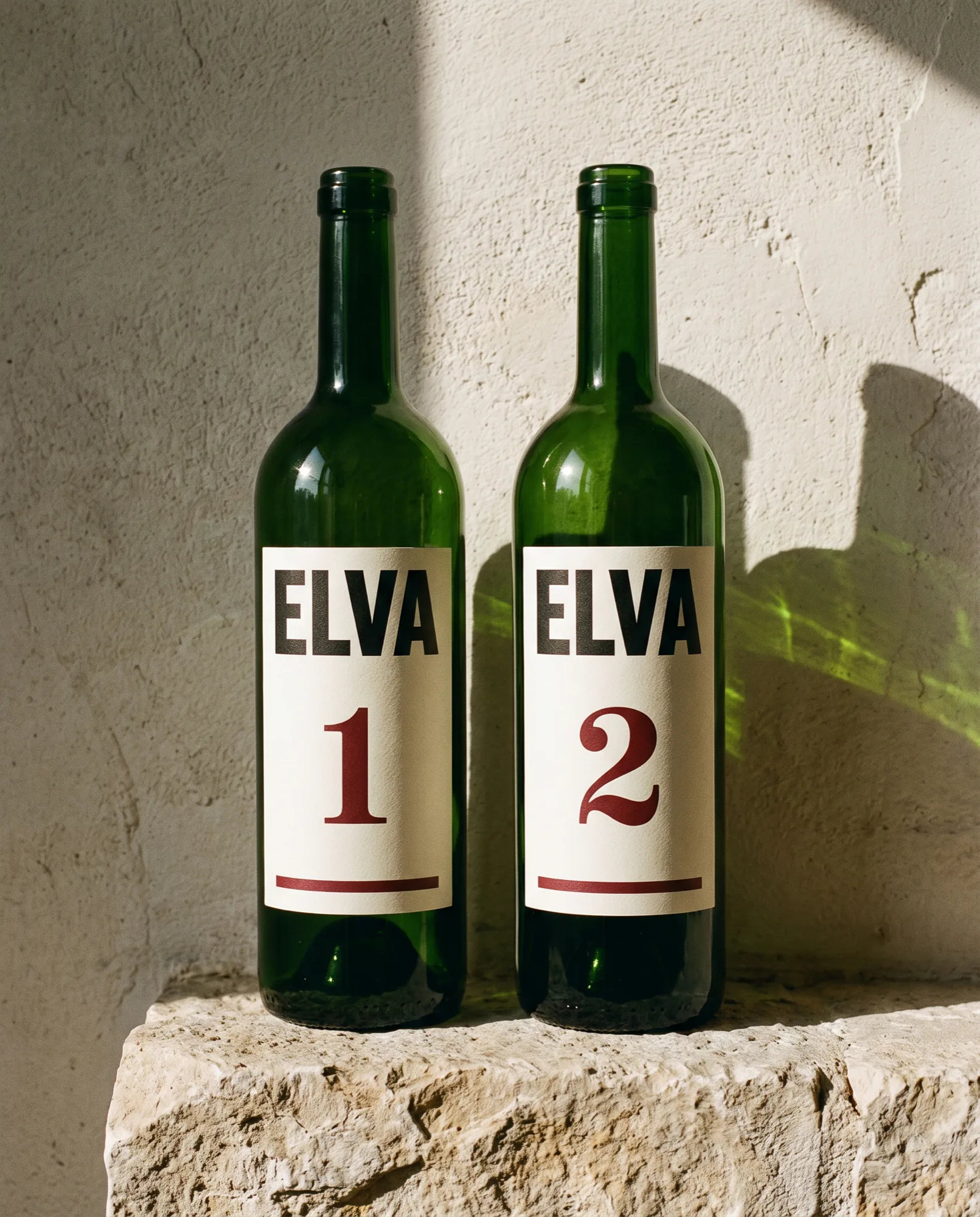 ELVA: The year, and the ground.